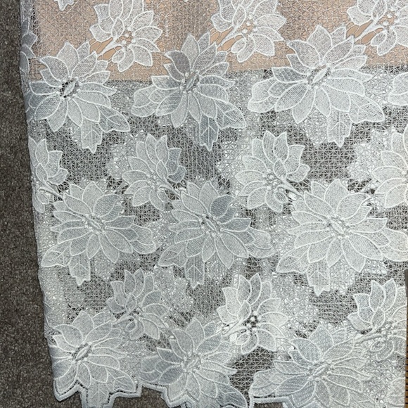 Anthropologie Bardot Vienna Lace White Lace  Nuce Slip Sheath Midi Dress Size 6 - Picture 11 of 15